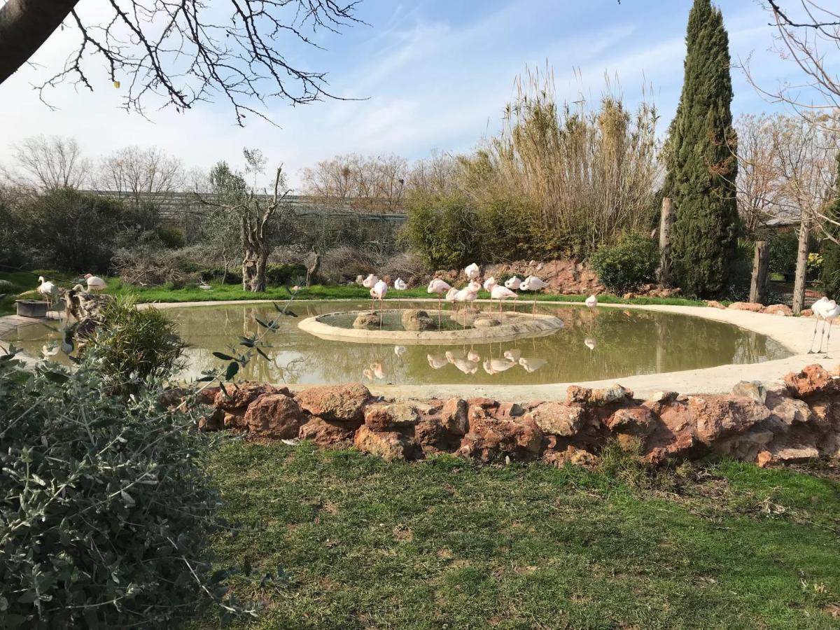 Dina'S House Villa Spáta Dış mekan fotoğraf